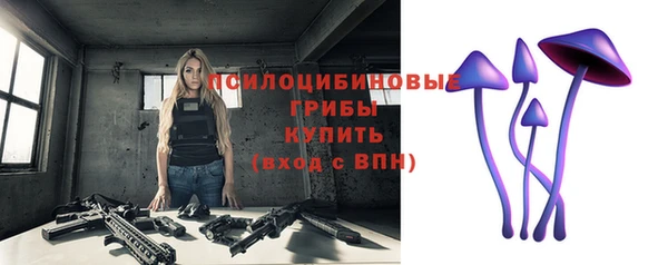 ПСИЛОЦИБИНОВЫЕ ГРИБЫ Абинск