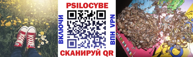 Псилоцибиновые грибы GOLDEN TEACHER  Фокино 